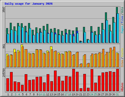 Daily usage for January 2026