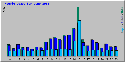 Hourly usage for June 2013