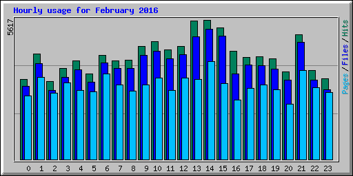 Hourly usage for February 2016