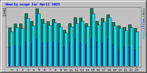 Hourly usage for April 2025
