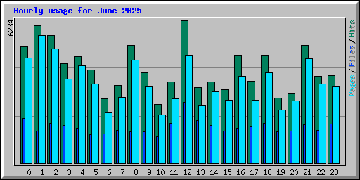 Hourly usage for June 2025