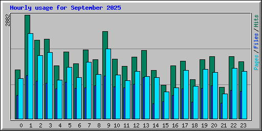 Hourly usage for September 2025
