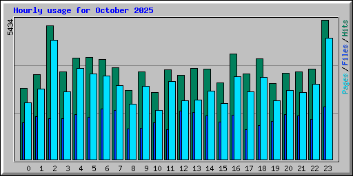 Hourly usage for October 2025
