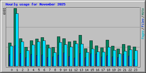 Hourly usage for November 2025