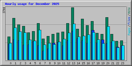 Hourly usage for December 2025