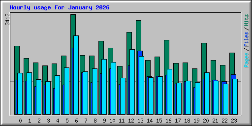 Hourly usage for January 2026