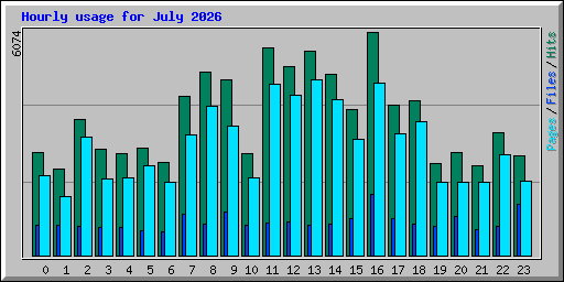 Hourly usage for July 2026