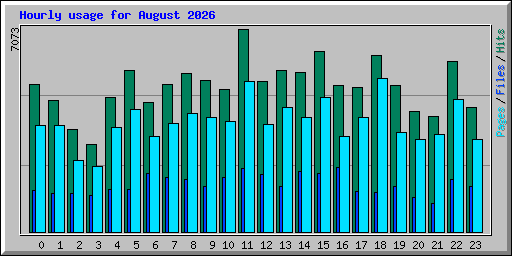 Hourly usage for August 2026